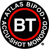bt-logo3